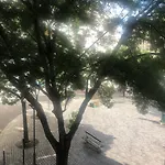 호텔 오키데 3*