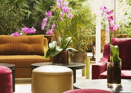 Orchidée Parigi