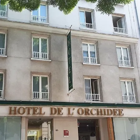 Orchidée