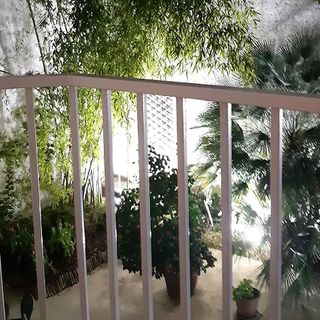 Hotel Orchidee 3*