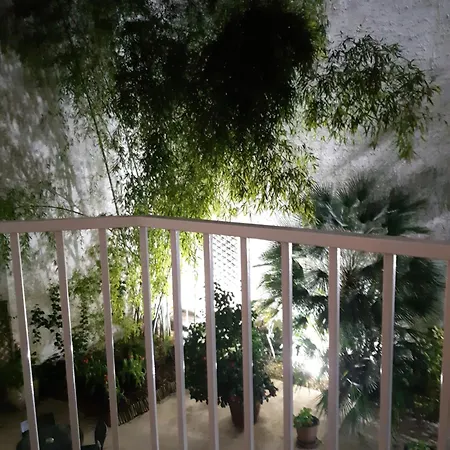 מלון Orchidee 3*