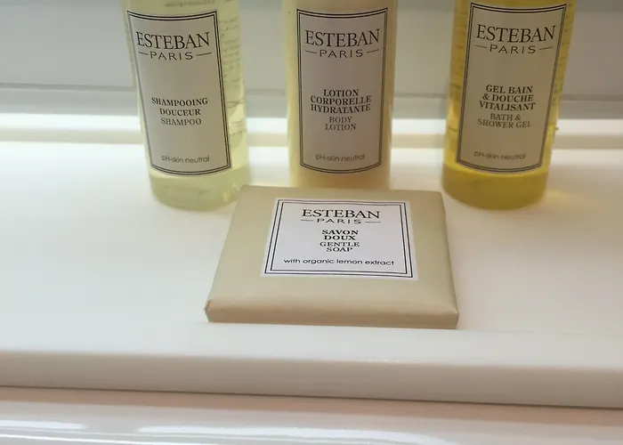 호텔 오키데 파리